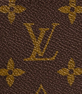 LV Louis Vuitton Passport Cover