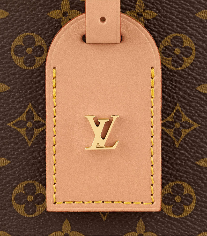 Tas LV Louis Vuitton Petite Boite Chapeau